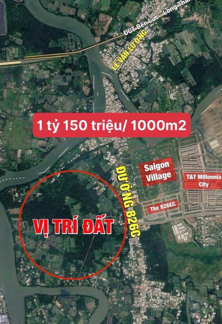 Bán đất lúa 2000m² tại Long Hậu, Cần Giuộc - Giá 2.3 tỷ, Đầu tư tiềm năng