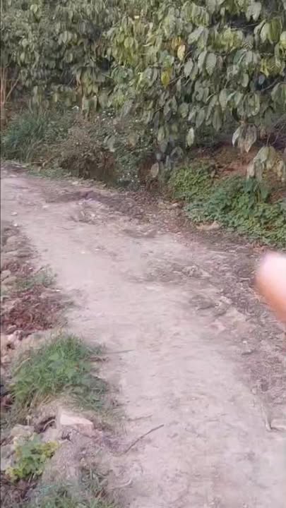 Bán Gấp 5500m² Đất Mặt Tiền Đường Ô Tô, Xã Đạ Đờn, Lâm Hà - Giá Thỏa Thuận