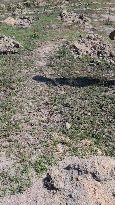 Bán Đất Rẫy 50.000m² Xã Cư Ê Wi, Đắk Lắk - Giá Thỏa Thuận