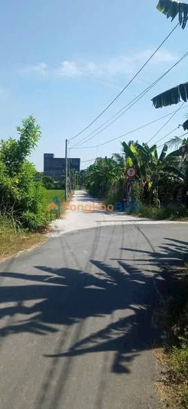 Đất nền Nhựt Chánh Bến Lức 980m² 3,3 tỷ - Chính chủ bán