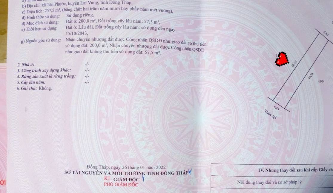 Bán Đất Nền 232m² Xã Tân Phước, Lai Vung - Giá 295 Triệu