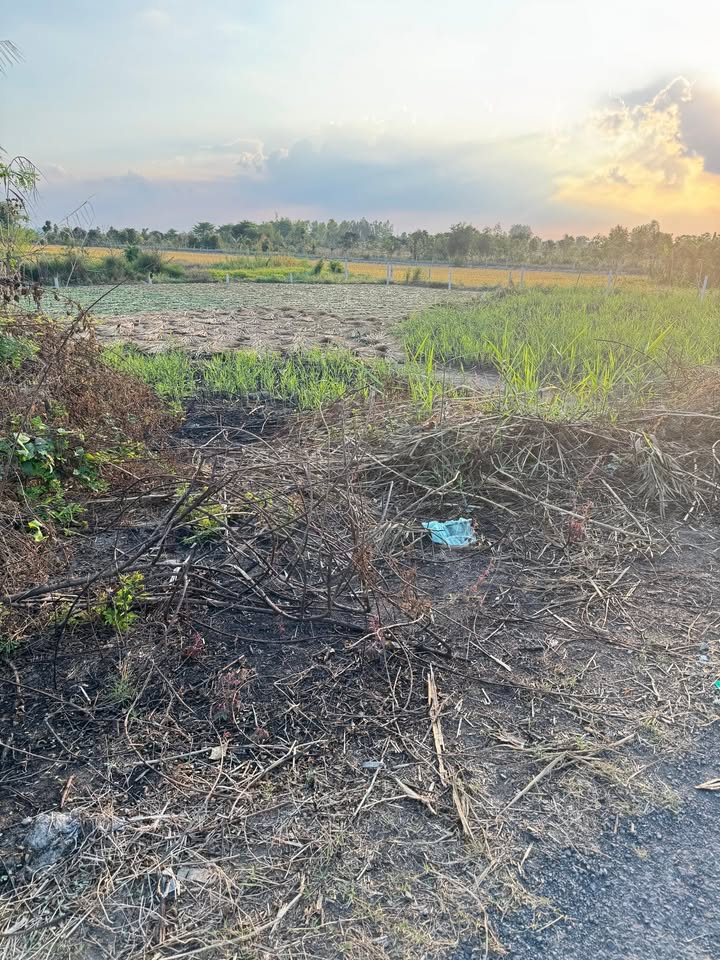 Đất thổ cư mặt tiền đường nhựa ô tô 160m² tại Cao Lãnh - Giá 549 triệu