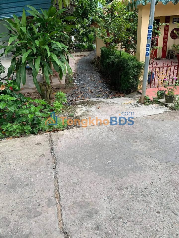 Đất Vườn 2211m² Cao Lãnh - Sổ Đỏ Rõ Ràng, Giá Chỉ 1 Tỷ