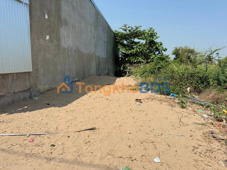 Đất Nền Tân Phước, Đồng Tháp - 105m² Thổ Cư, Giá Tốt 240 Triệu