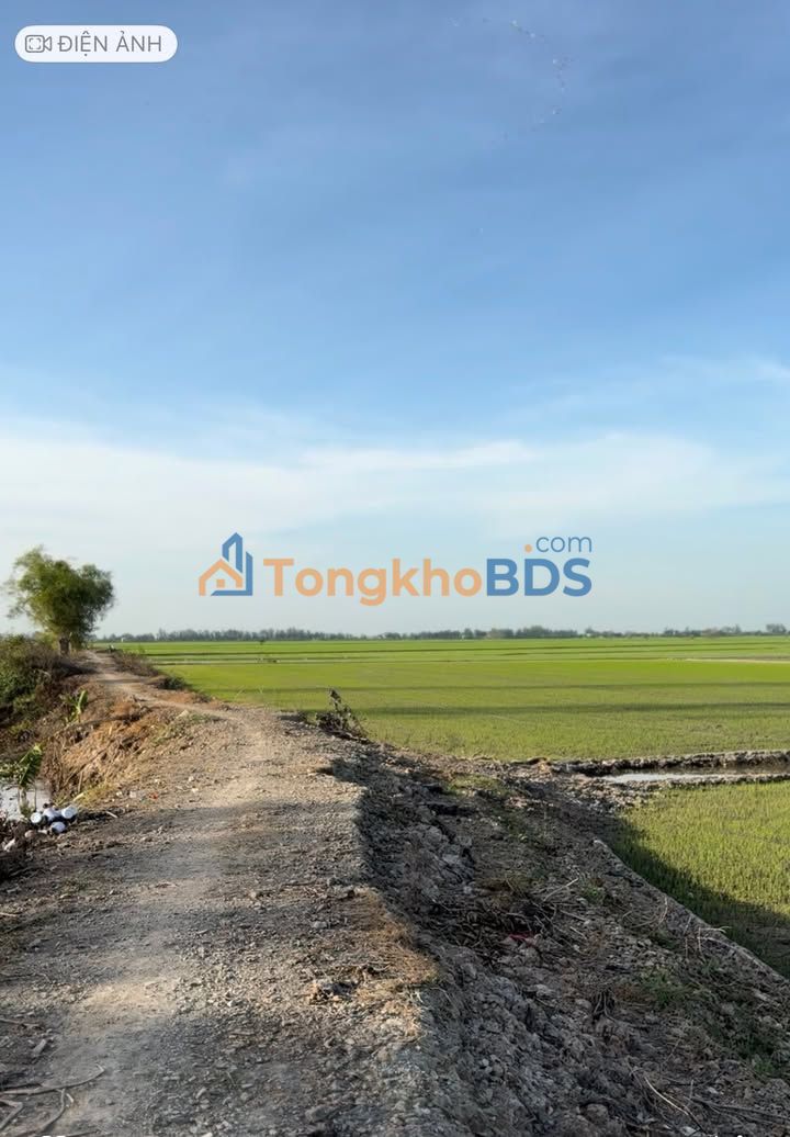 Đất Vườn Đồng Tháp 16.000m² - Tự Chủ Nguồn Nước, Giá Đầu Tư Tốt