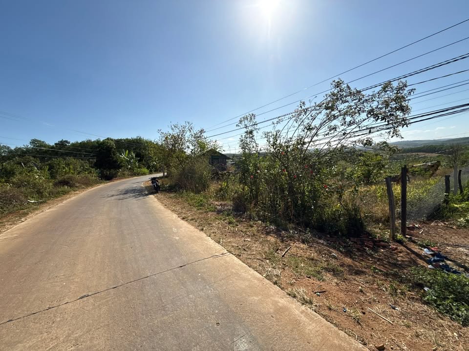 Bán 10.000m² Đất Ea Kăl, Buôn Hồ - Sẵn Sàng Lên Thổ Cư, Kinh Doanh Tiềm Năng