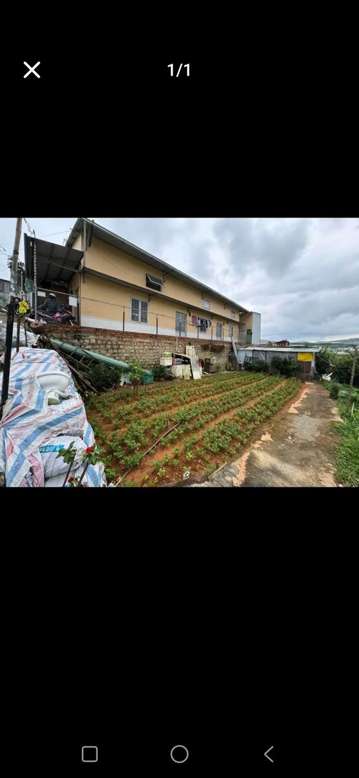 Bán Đất 115m² Phường 6 Đà Lạt - Sổ Đỏ Sẵn, Hẻm Oto 3m