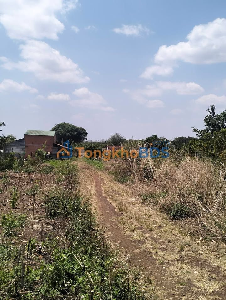 Bán Gấp 11.500m² Đất Vườn Kumanaga, Krông Pắc - Giá 870 Triệu