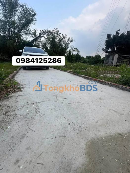 Đất Mỹ Hào 50.5m² - Ô tô đỗ cửa, gần trường học, giá 1 tỷ