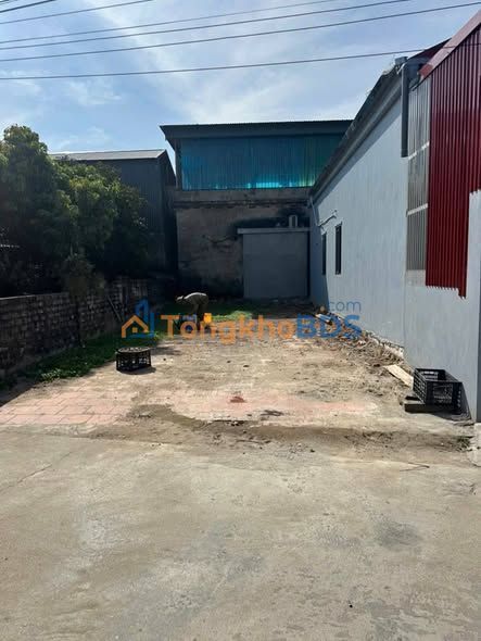 Đất Phụ Dực Hưng Yên 90m² giá 1 tỷ - Đường to ô tô