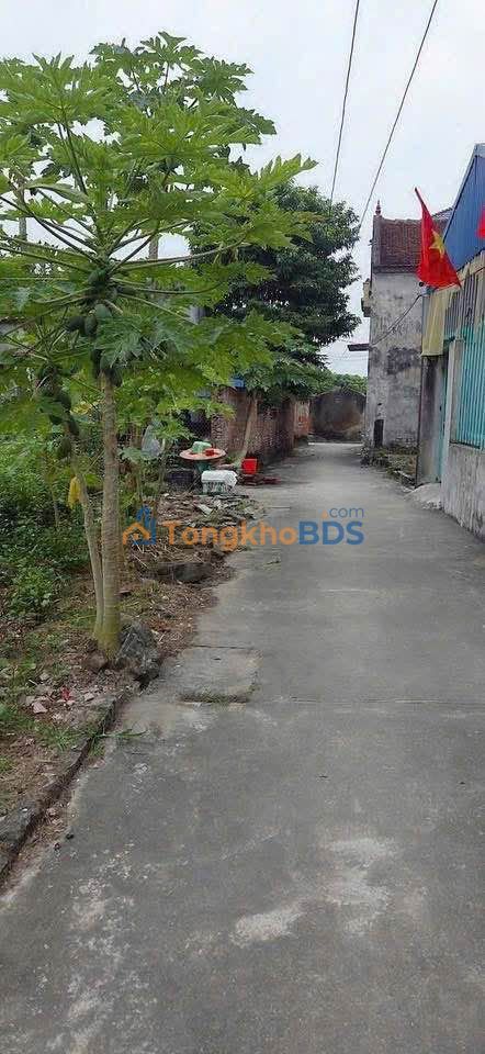 Đất Lô Góc 58m² Đồng Mỹ, Yên Mỹ - Kinh doanh/Ở, Giá 1.x Tỷ