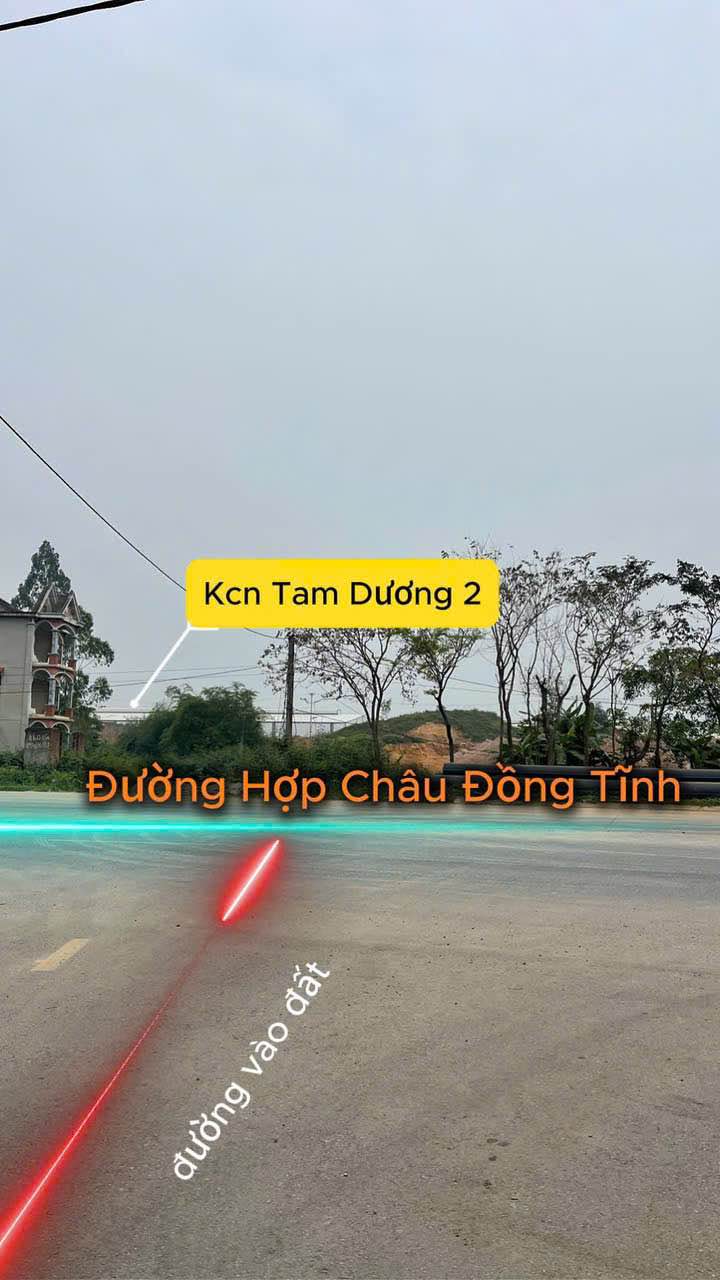 Đất Nền Trục Chính Đồng Vang - Kim Long, Tam Dương 125m² Giá 1.6 Tỷ - Sẵn Sàng Kinh Doanh
