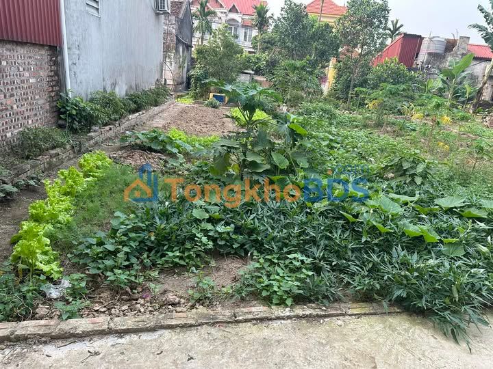 Đất nền Phúc Miếu, Mỹ Hào, Hưng Yên 56m² - Oto vào, giá tốt chỉ từ 1.0xx tỷ