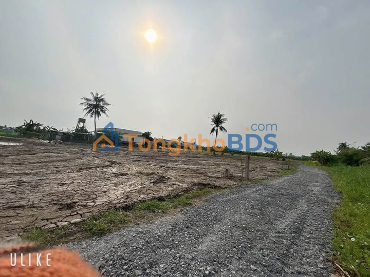 Đất nền Đức Tân Tân Trụ 528m²/400 triệu - Tiềm năng tăng giá