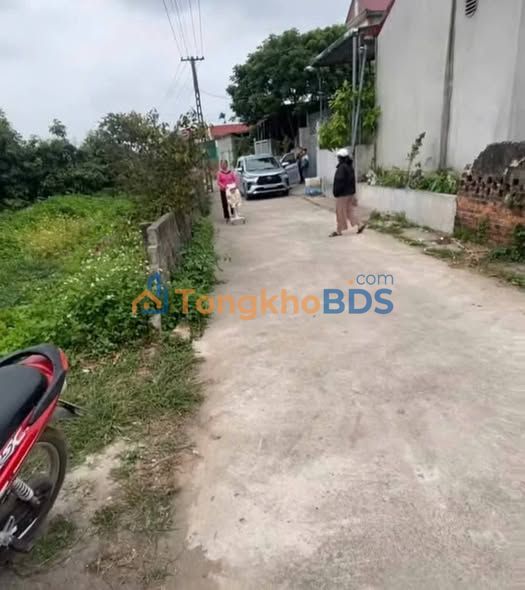 Đất Thổ Cư 200m² Full Thổ Cư, Mặt Tiền 10m Tại Quỳnh Hội, Giá 1.6 Tỷ