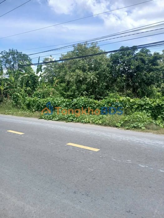 Đất nền Long Sơn Cần Đước 170m² 1.6 tỷ - Sổ đỏ chính chủ