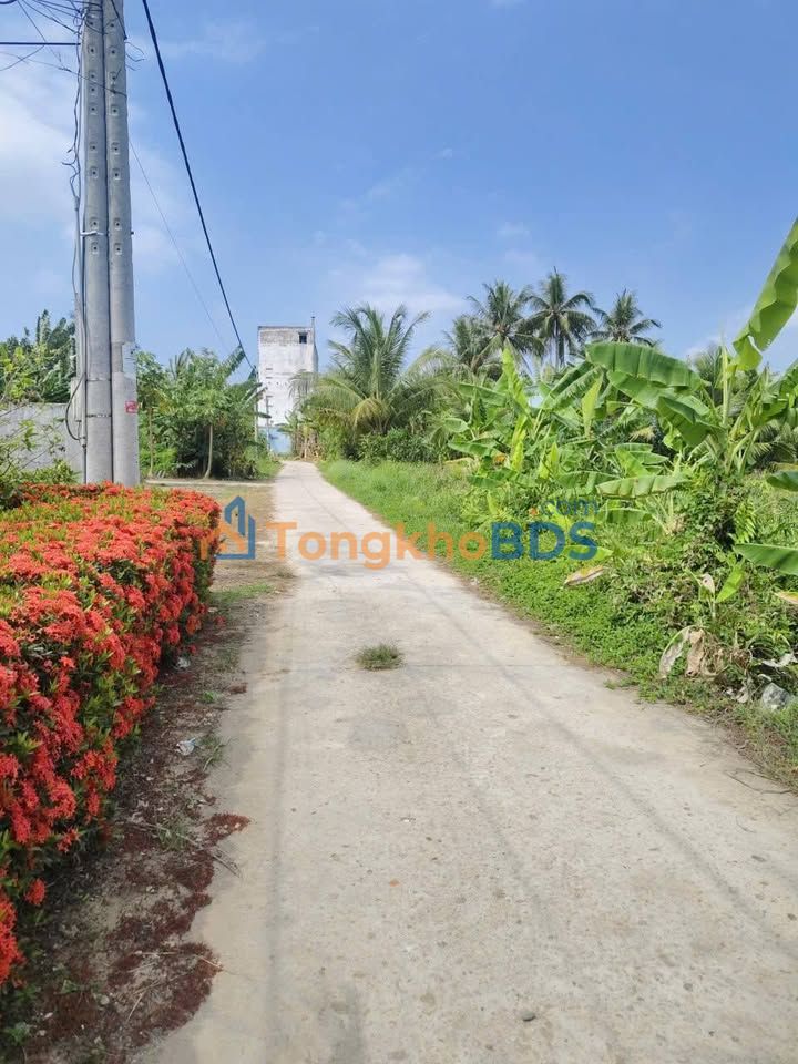 Bán Đất Thổ Cư 121m² Tại Mỹ Xuyên, Sóc Trăng - Giá Chỉ Từ 2xx Triệu