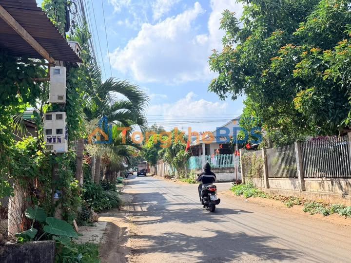 Bán Đất Góc 2 Mặt Tiền Đặng Tất, Buôn Ma Thuột - 118m² Giá 5.8 Tỷ