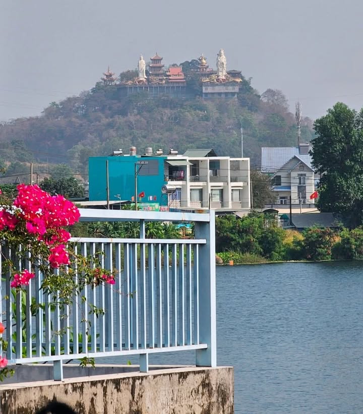 Mặt tiền Trần Hưng Đạo, Dầu Tiếng - 600m² vuông vức, 45 tỷ