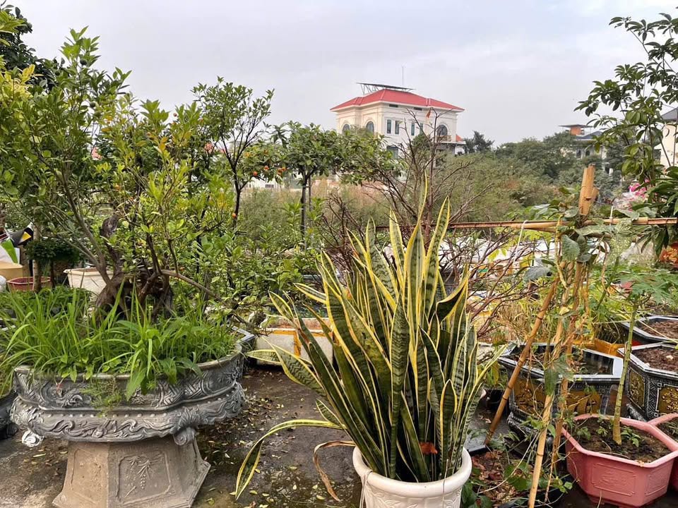 Bán Gấp Townhouse 117m² Khu Đại Dương, Bắc Ninh - View Vườn Hoa