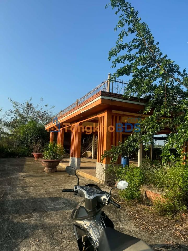 Bán Đất Nền Farm 10000m² Long Thành - Tiềm Năng Kinh Doanh & Nghỉ Dưỡng