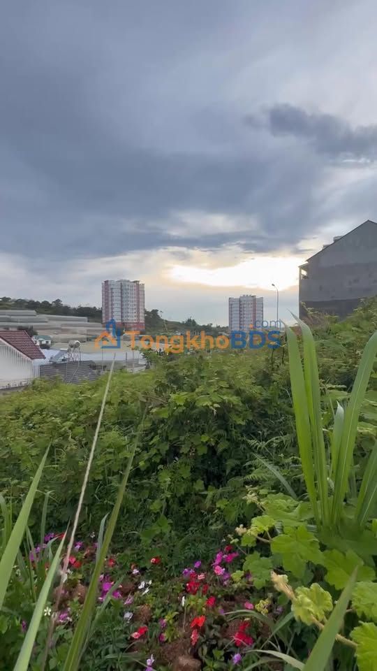 Đất nền Nguyễn Hoàng P7 Đà Lạt 100m² 3.8 tỷ - Sổ đỏ