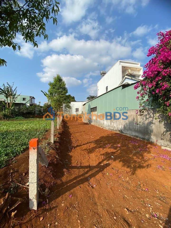 Bán Đất Đường Bùi Viện Kon Tum 100m² - Sổ Đỏ Sẵn Sàng