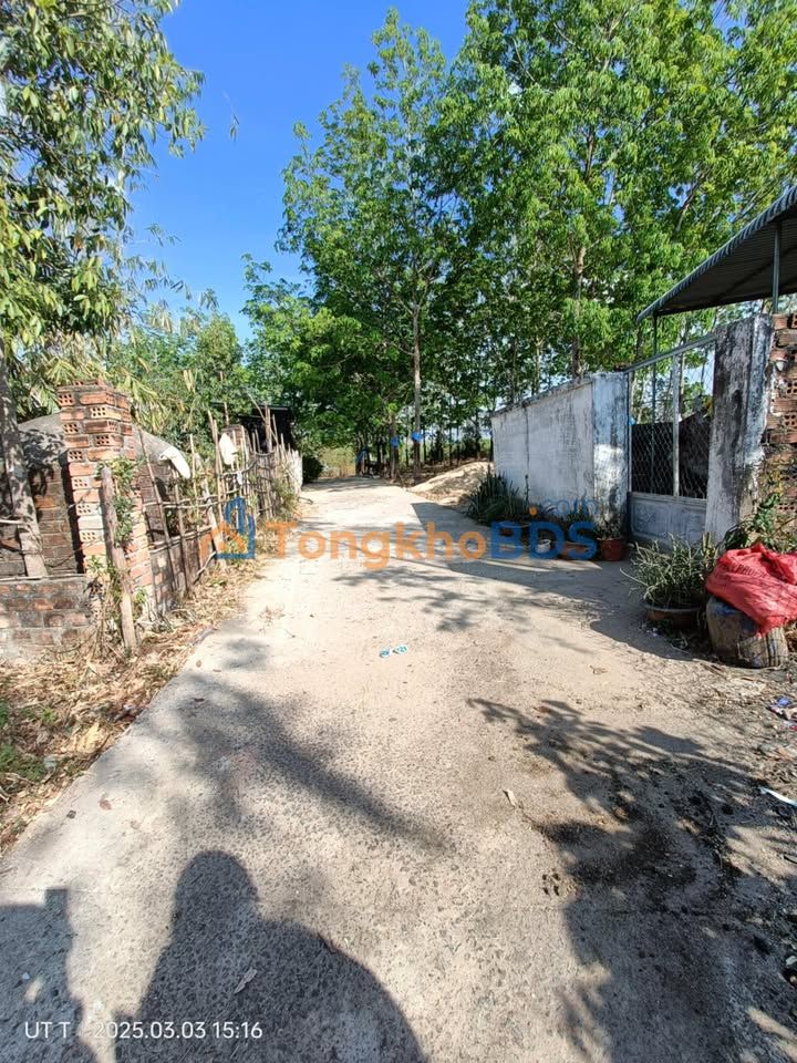 Bán Gấp Đất Kon Tum 400m² Hướng Đông Bắc - Giá Đầu Tư 2xx Triệu