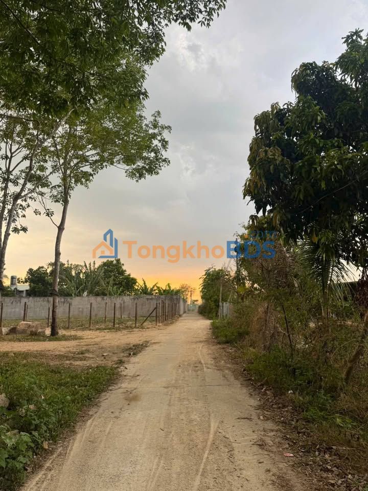 Bán Đất Vườn 10.000m² Kon Tum - Sẵn Vườn Cao Su, Tiềm Năng Trang Trại