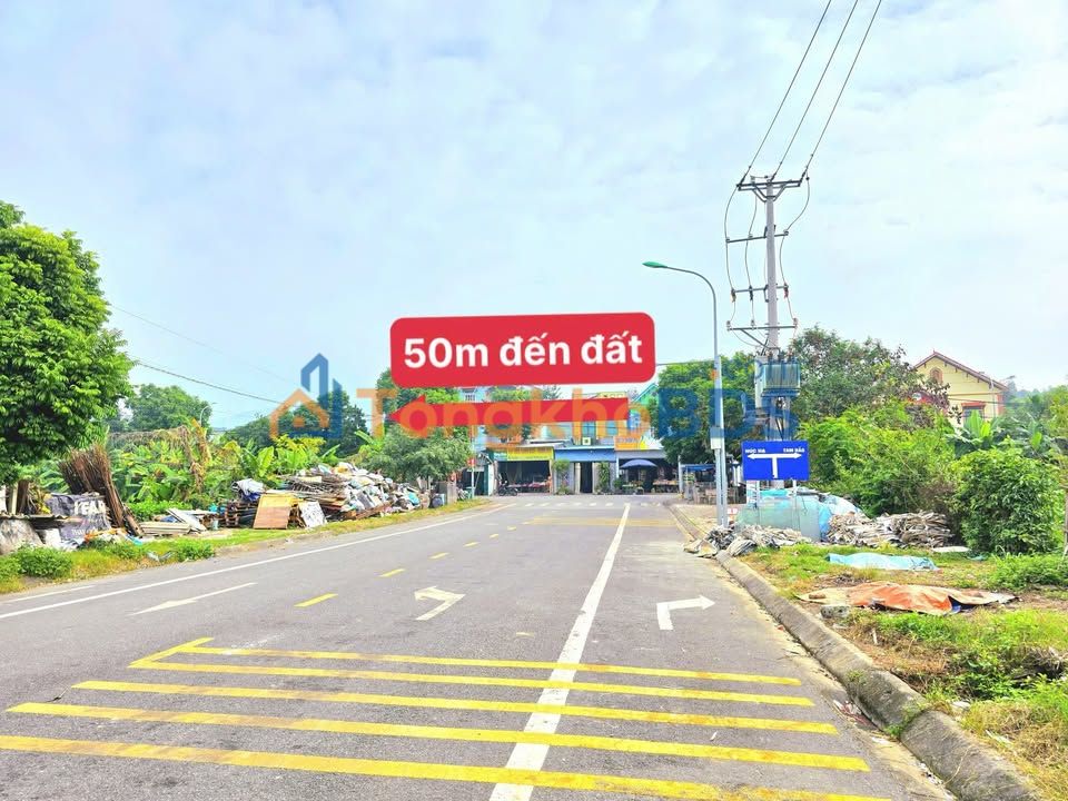Đất Vàng Tam Đảo - 305m² Mặt Tiền Lớn - Sổ Đỏ Sẵn Sàng