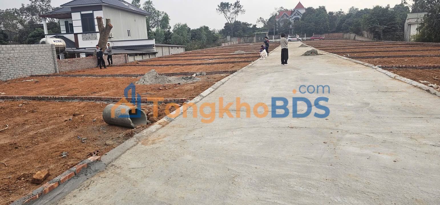 Đất Nền Tam Dương Vĩnh Phúc 87m² Giá 6xx Triệu - Sổ Đỏ Full Thổ Cư
