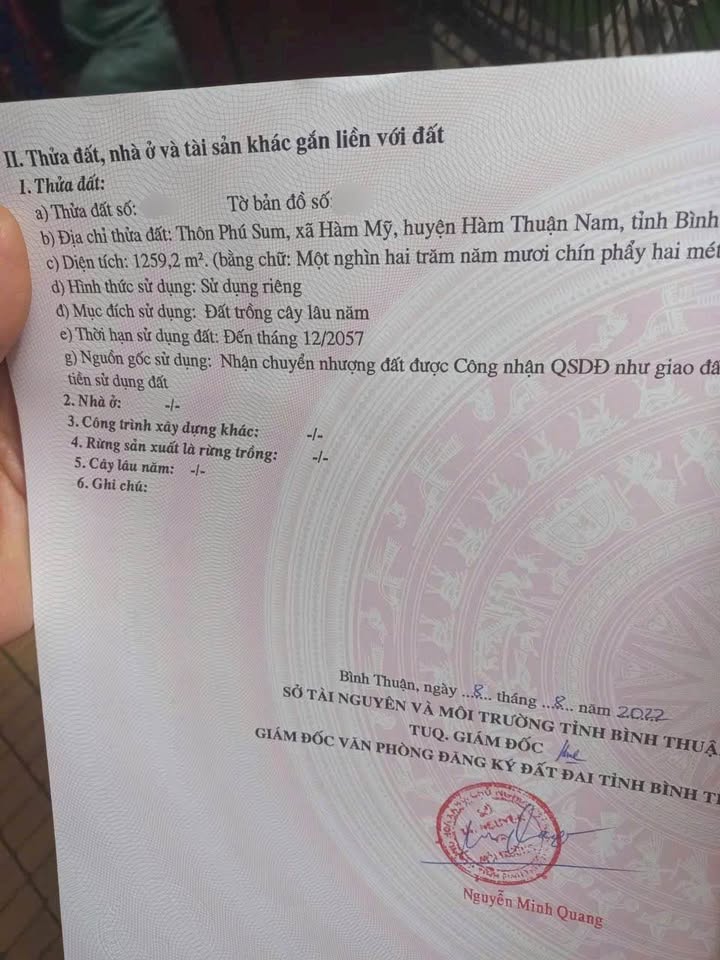 Bán Gấp Đất 1100m² Thổ Cư Tương Lai, Mặt Tiền Đường Chính Hàm Mỹ, Bình Thuận