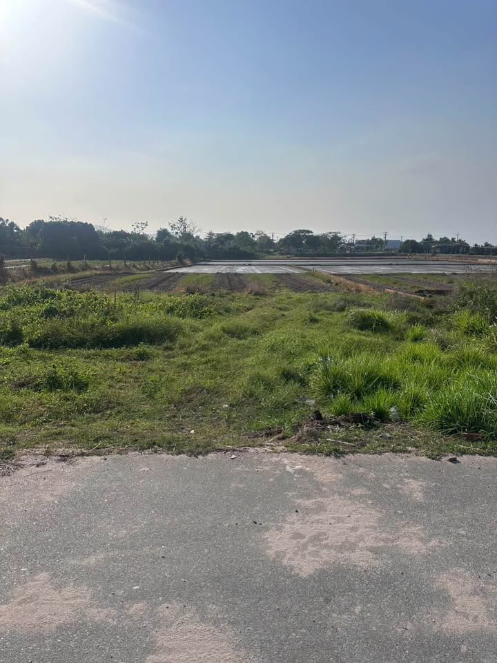 Bán Đất Nền Mặt Tiền Phước Hội, Bà Rịa - Vũng Tàu - 100m² - Hơn 1 Tỷ