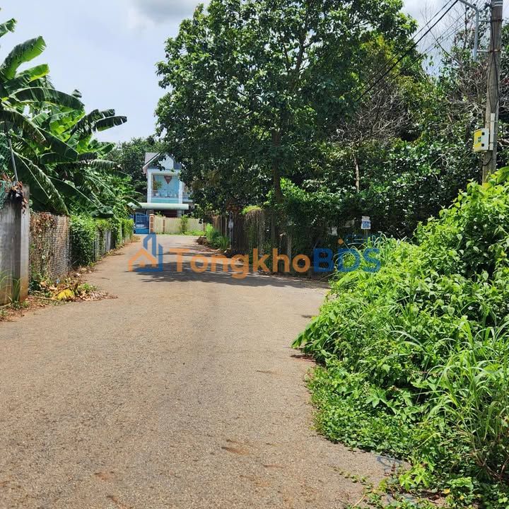 Bán Đất Hòa Long 80m², Sổ Riêng Giá 1.5 Tỷ - Cơ Hội Đầu Tư