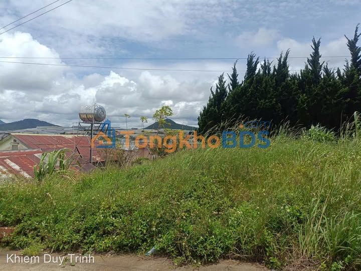 Đất Trịnh Hoài Đức Đà Lạt 256m² giá 9,5 tỷ - Sổ đỏ chính chủ