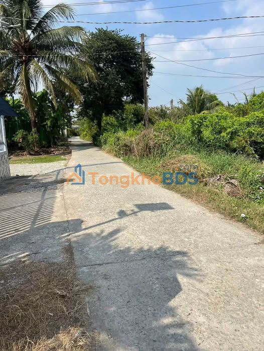 Bán Đất Thổ Cư Thủ Thừa, Long An - 121m² Sẵn Sổ, Giá 419 Triệu