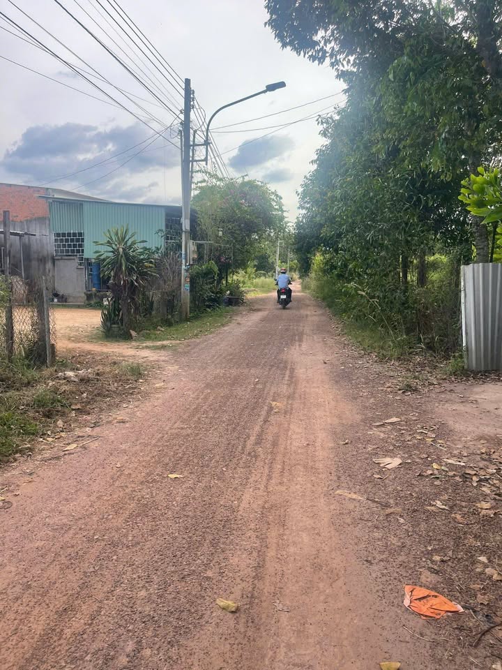 Đất Nền Bàu Bàng 450m² Sổ Sẵn - Kế KCN, Dân Đông - 1.5 Tỷ