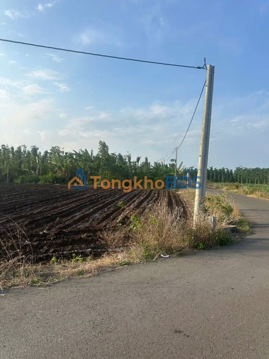 Bán Đất 234m² Bình Trung, Châu Đức - Sổ Hồng Riêng, Giá 250 Triệu