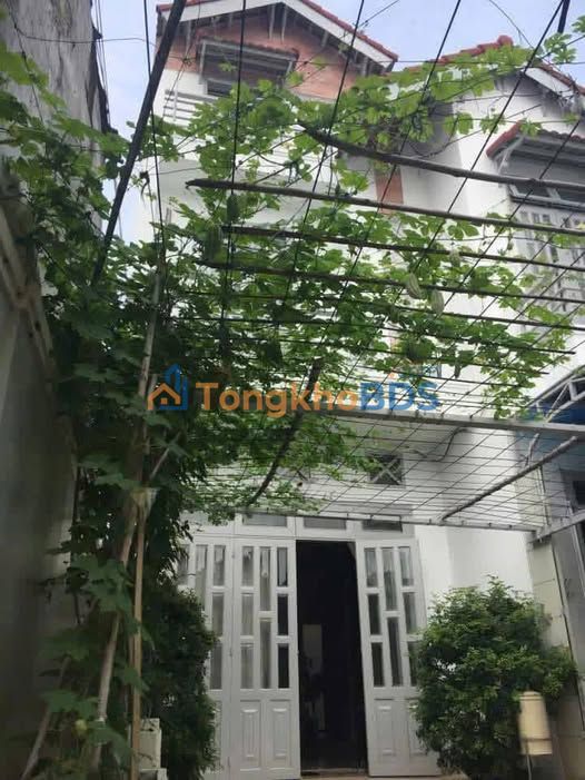 Cho thuê biệt thự mặt tiền Bình Giã, Vũng Tàu - 240m², có hồ bơi, giá 22 triệu/tháng