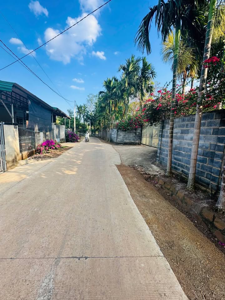 Bán Gấp Đất Thổ Cư 300m² Tại Eaba, Đắk Lắk - Sổ Đỏ Sẵn Sàng