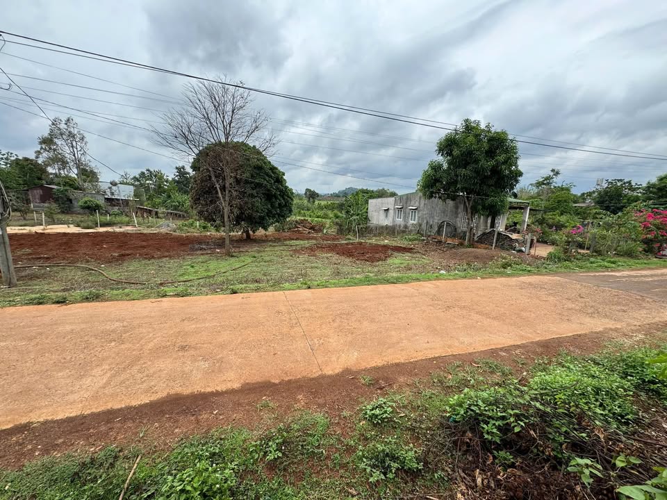 Đất nền Cư Suê, Đắk Lắk - 310m² giá đầu tư chỉ 200 triệu