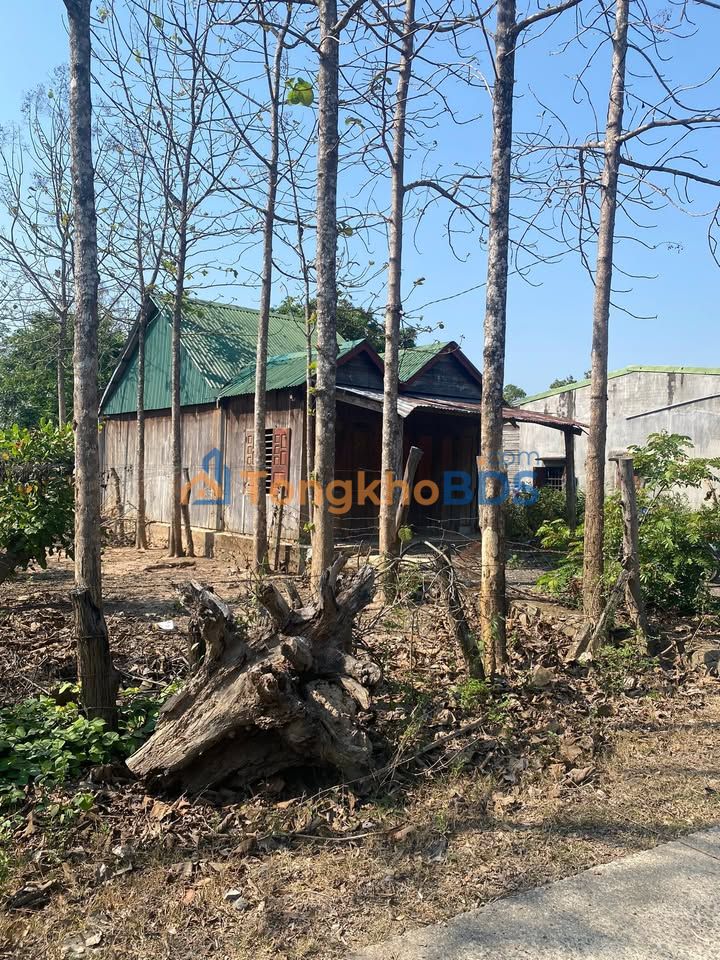 Bán đất tặng nhà gỗ kiên cố, Buôn Đôn, Đắk Lắk - 480m² giá tốt