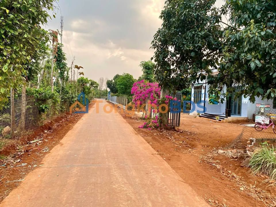 Đất 902m² tặng nhà cấp 4, 2 mặt tiền đường bê tông, Ea Na, Đắk Lắk - 1.299 tỷ