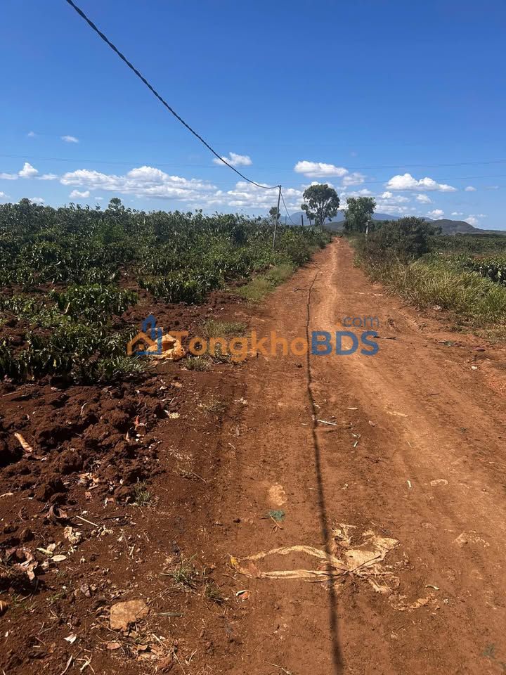 Bán 7800m² Đất Tân Hội, Đức Trọng, Lâm Đồng - Sổ Hồng, Giá 4.4 Tỷ