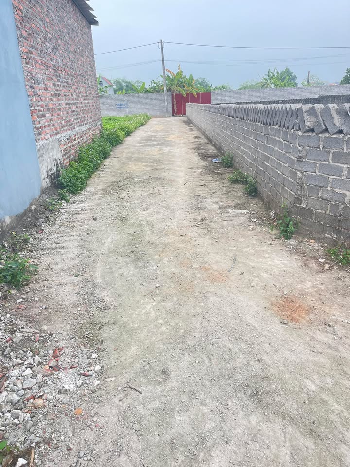 Bán Đất Nền 111m² Thôn Khánh, Bắc Ninh - Sổ Đỏ Chính Chủ, Giá Đầu Tư