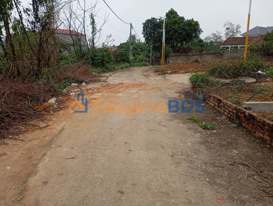 Đất Nền Quế Võ, Bắc Ninh 81.7m² - Giá Tốt, Sẵn Sổ Hồng