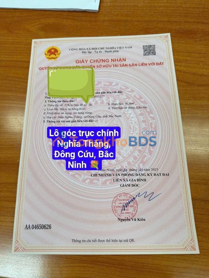 Đất Lô Góc Trục Chính Nghĩa Thắng, Gia Bình - 81.6m² Kinh Doanh Sinh Lời