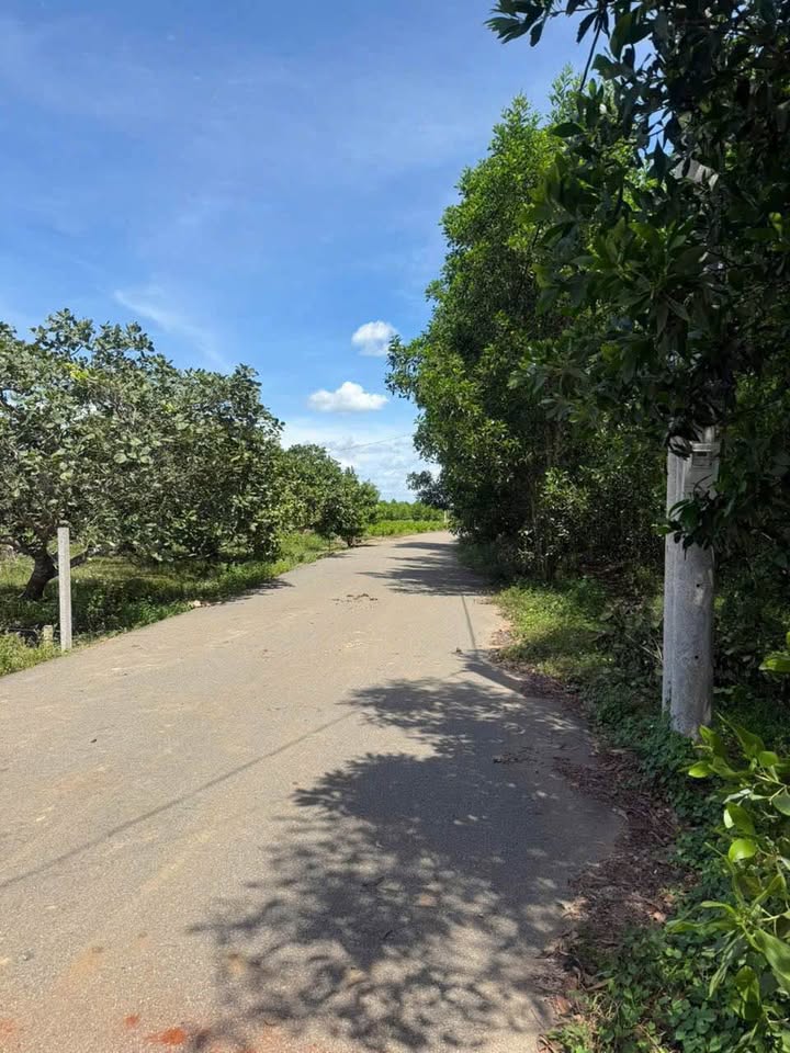 Đất nền 2ha Phước Tân, Long Thành - Mặt tiền nhựa, sổ riêng, giá 15 tỷ