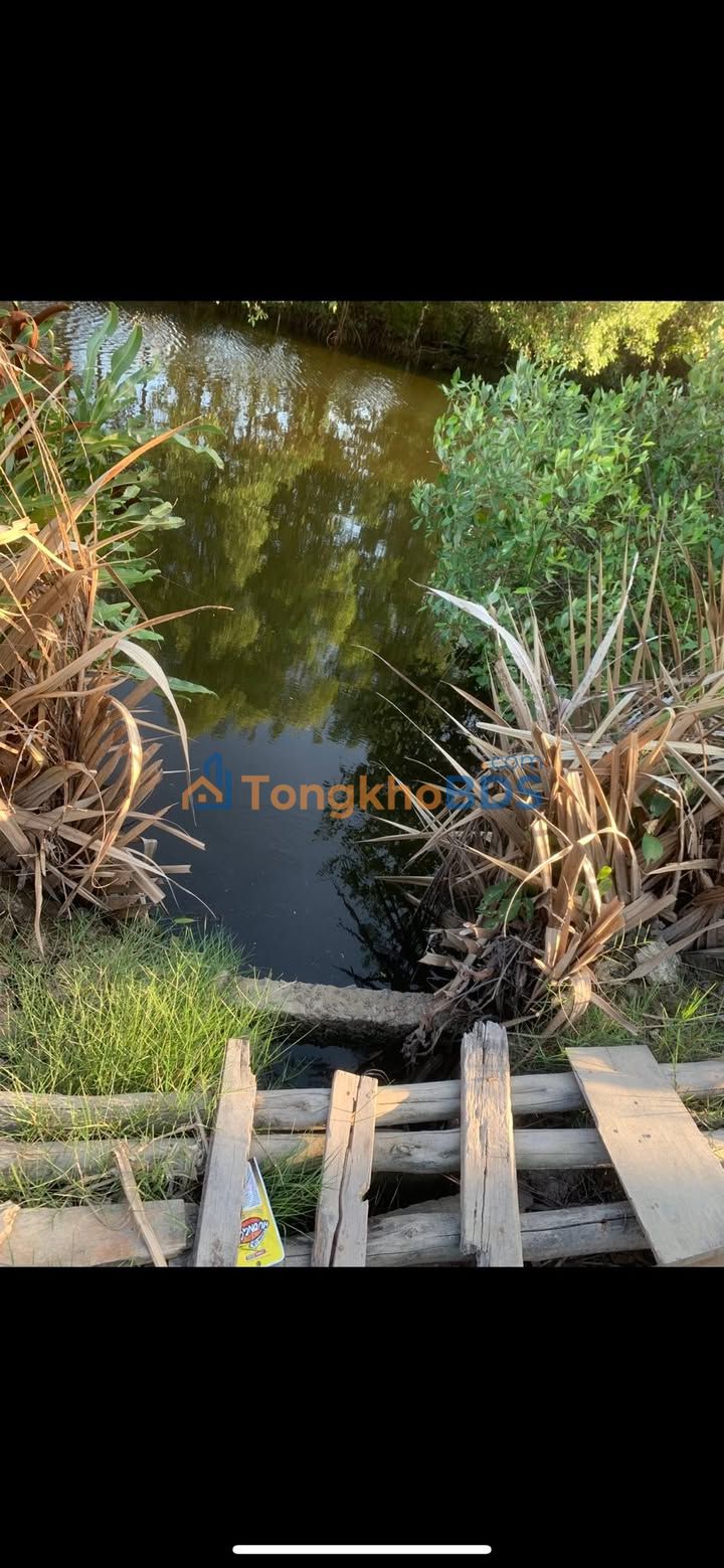 Đất Nền Phú Tân Cà Mau 3060m² - Giá Đầu Tư 1.2 Tỷ