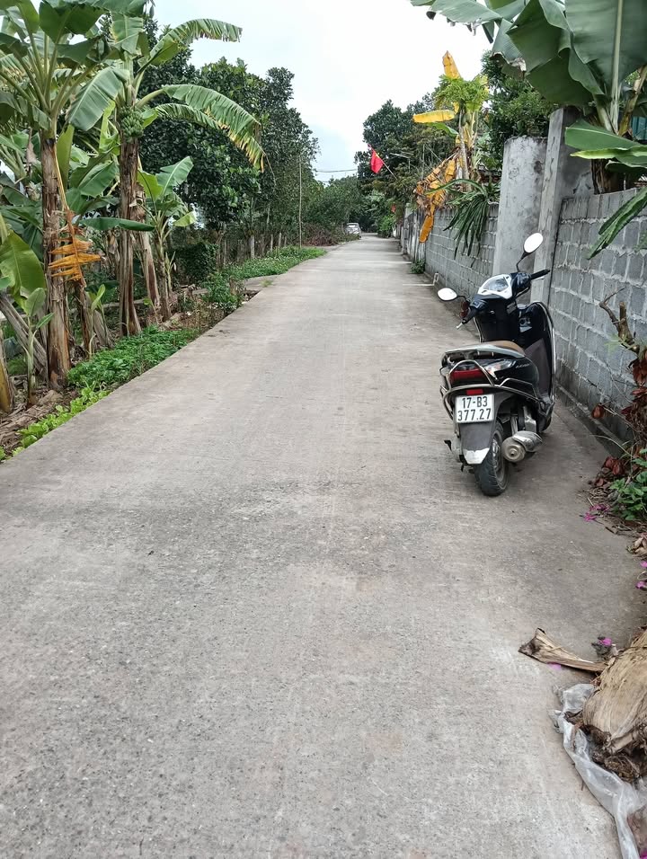 Bán Đất Đông Hưng, Thái Bình 150m² - Sổ Đỏ Sẵn Sàng, Giá Tốt